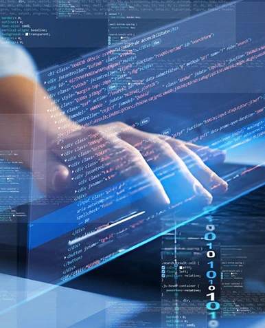 WordPress Multisites White Label WordPress Development