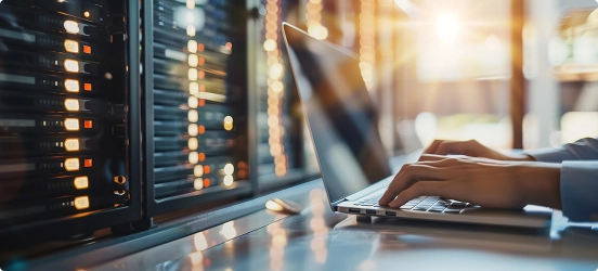 White label IT server and infrastructure services — managing hosting, servers and maintenance within agency infrastructure for reliable client support